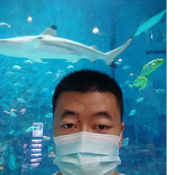 河北34岁单身帅哥真诚找对象-海西征婚相亲网